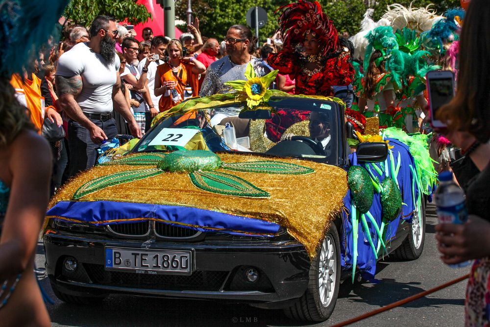 Unter der Goldhaube