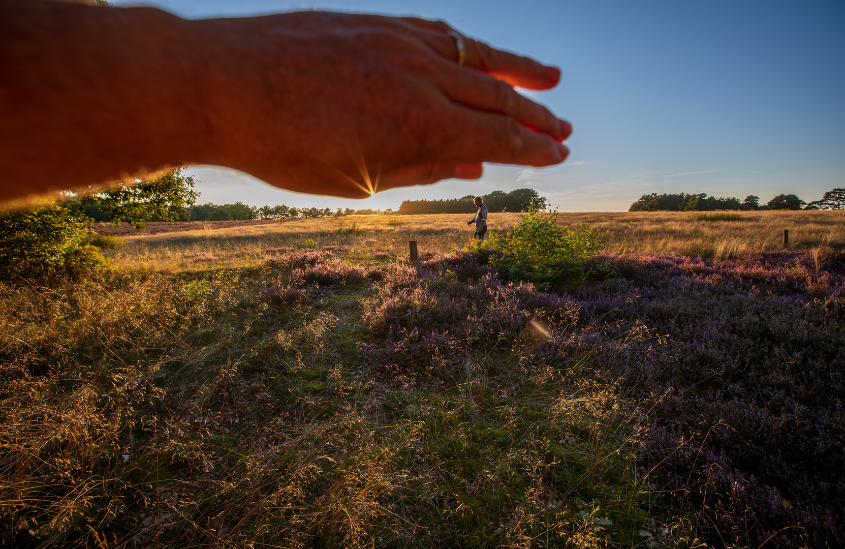 Unter der Hand 