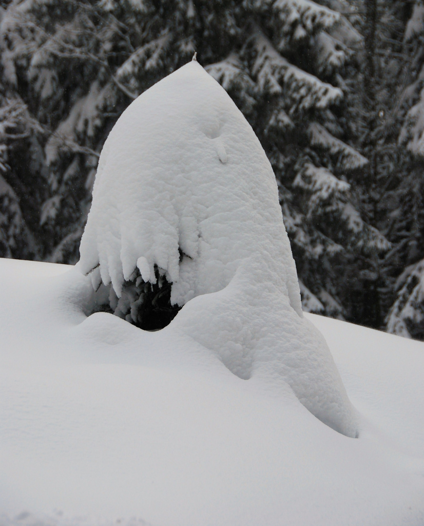 Unter der Haube