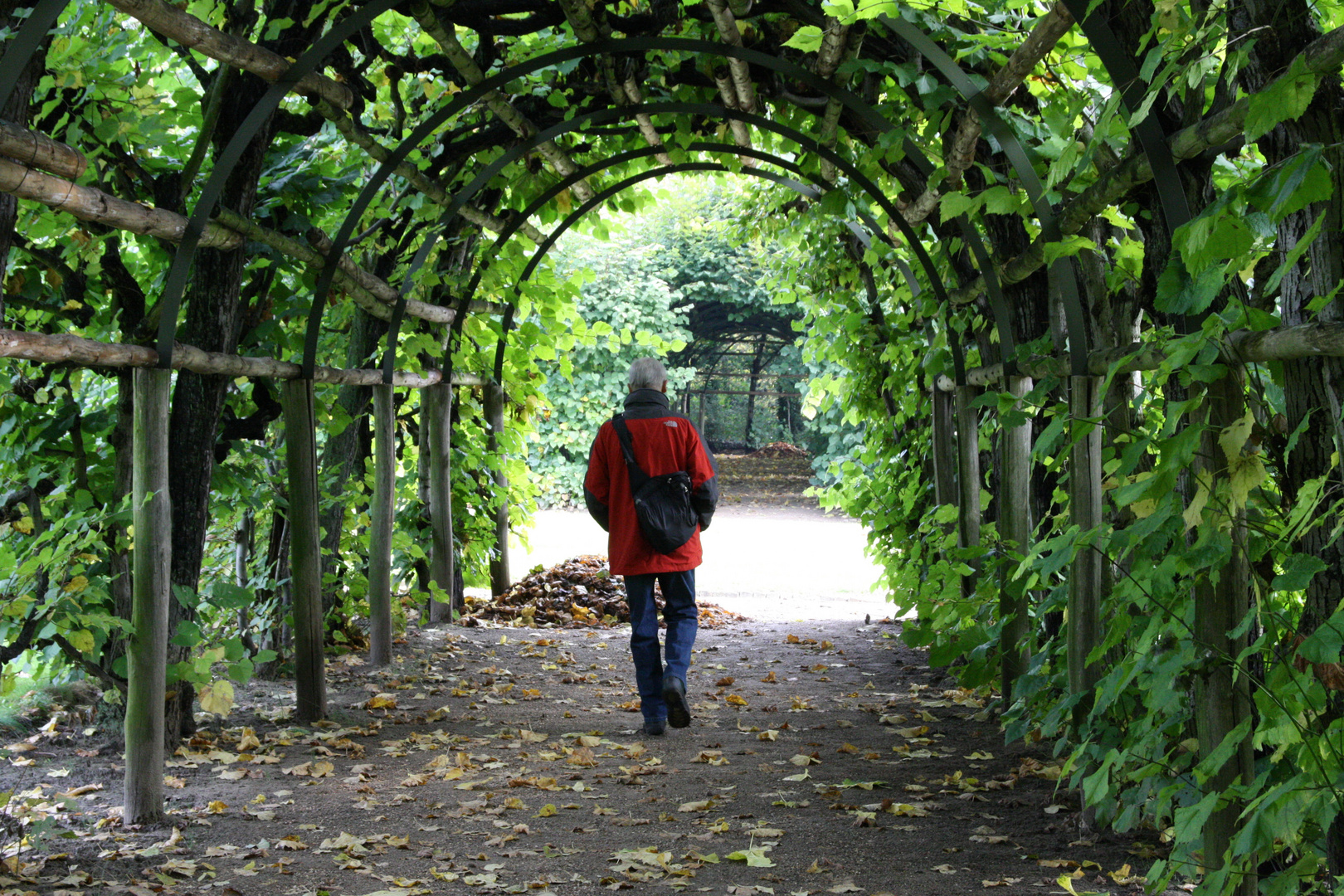 unter der Hecke