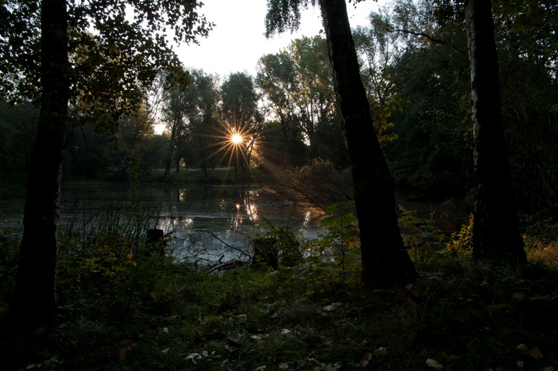 Unter der Konradsburg S. Anhalt