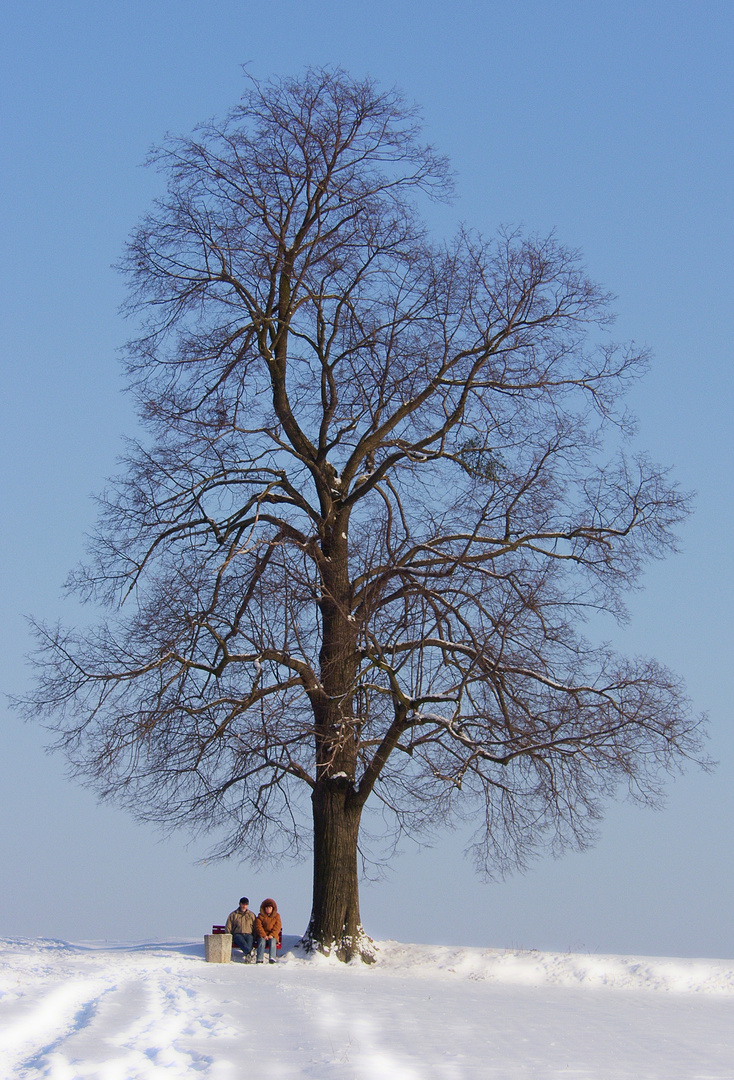 Unter der Linde