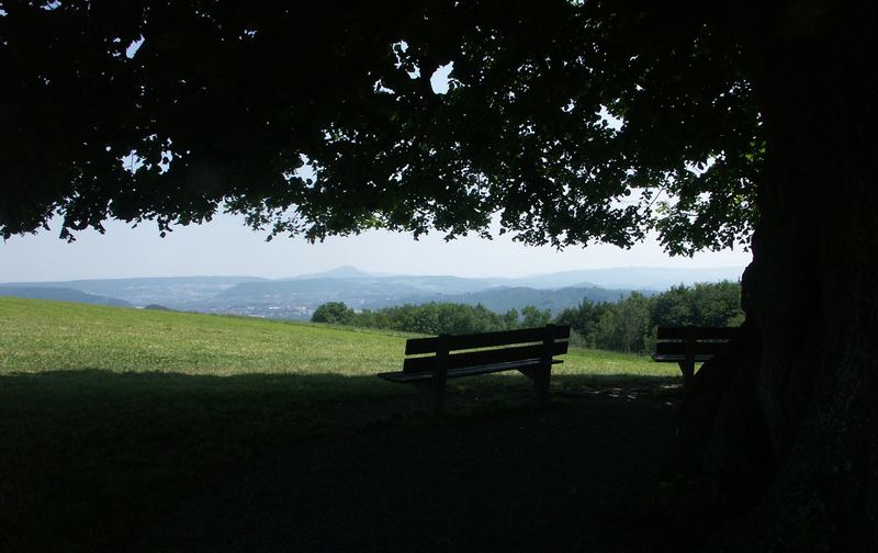 unter der Linde von Linn