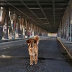 Unter der Oberbaumbrücke......