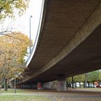 Unter der Rheinkniebrücke in Düsseldorf ~