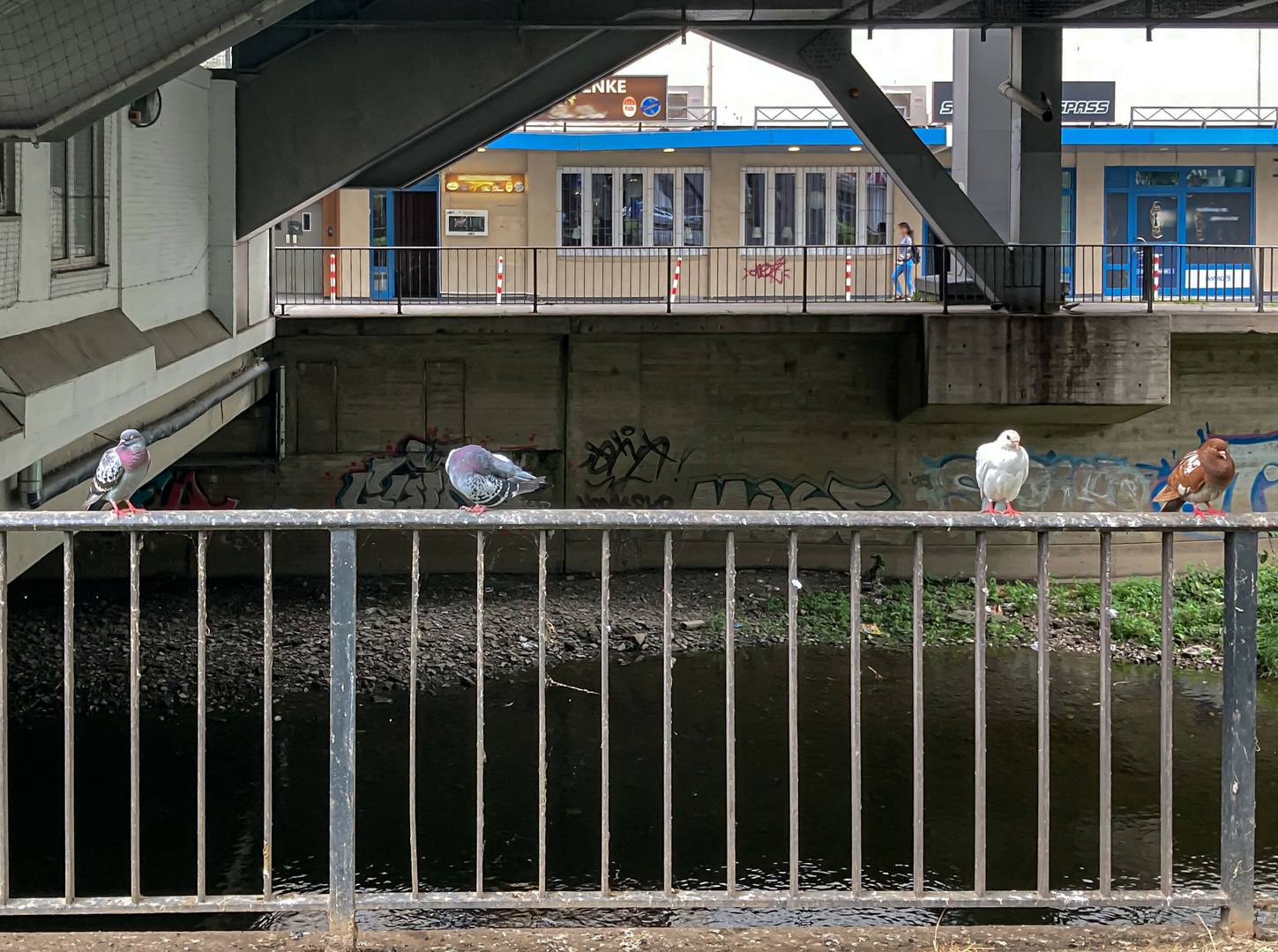 Unter der Schwebebahn