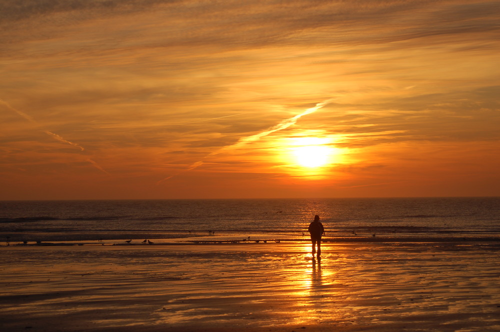Unter der Sonne Foto & Bild | landschaft, moor, natur ...
