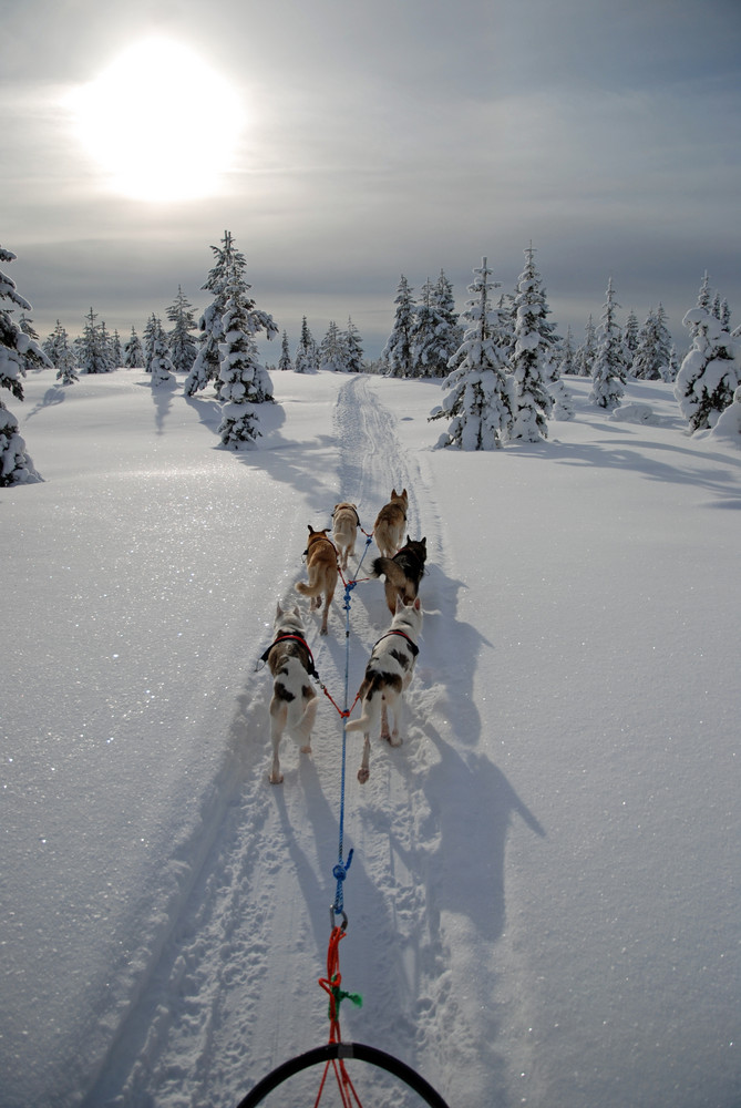 Unter der Sonne Finnlands