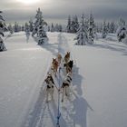 Unter der Sonne Finnlands