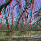 Unter der Trauerbuche (3D-Bild für Rot/Cyan Brille)