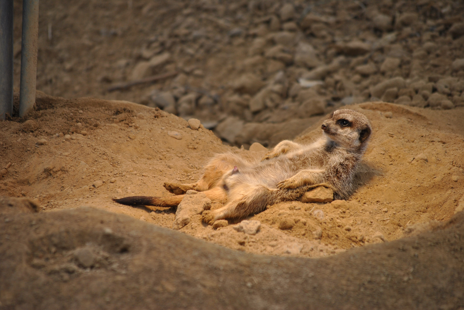 Unter der Wärmelampe chillen