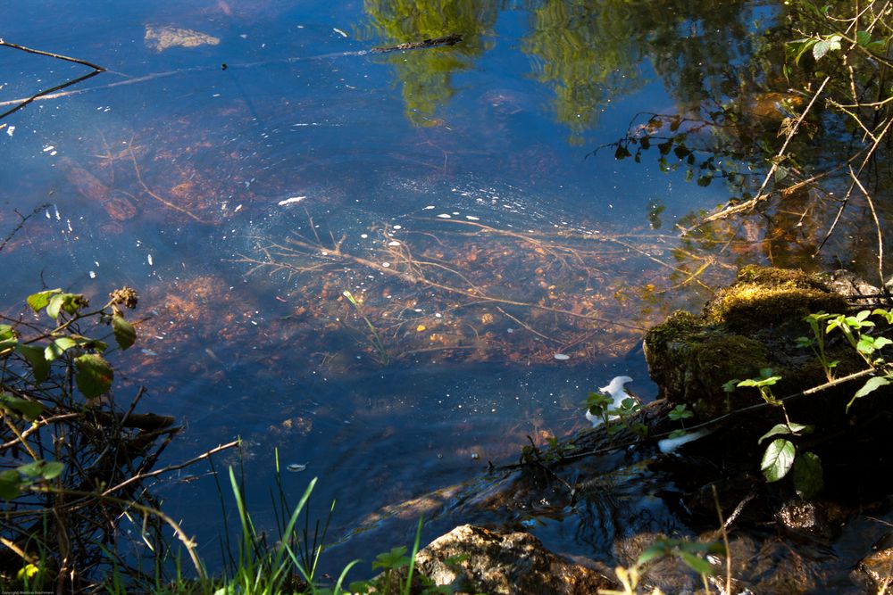 Unter der Wasseroberfläche