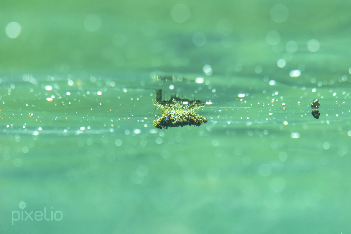 unter der Wasseroberfläche