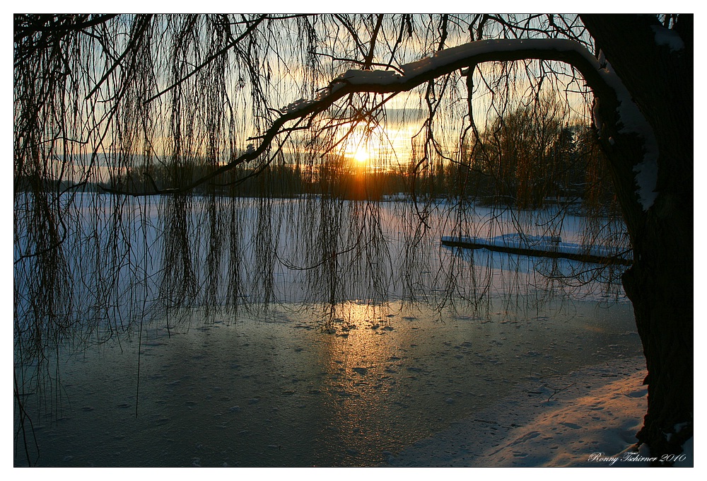 Unter der Weide  2010