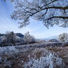 Unter der winterlichen Linde