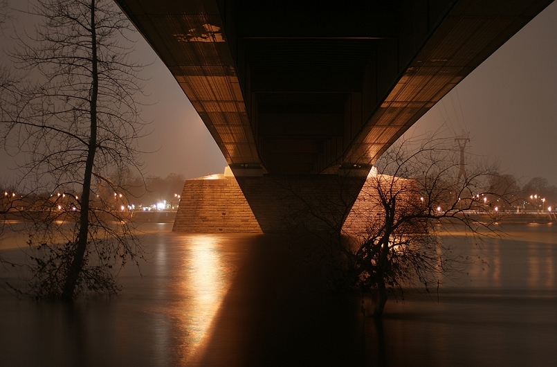 unter der Zoobrücke