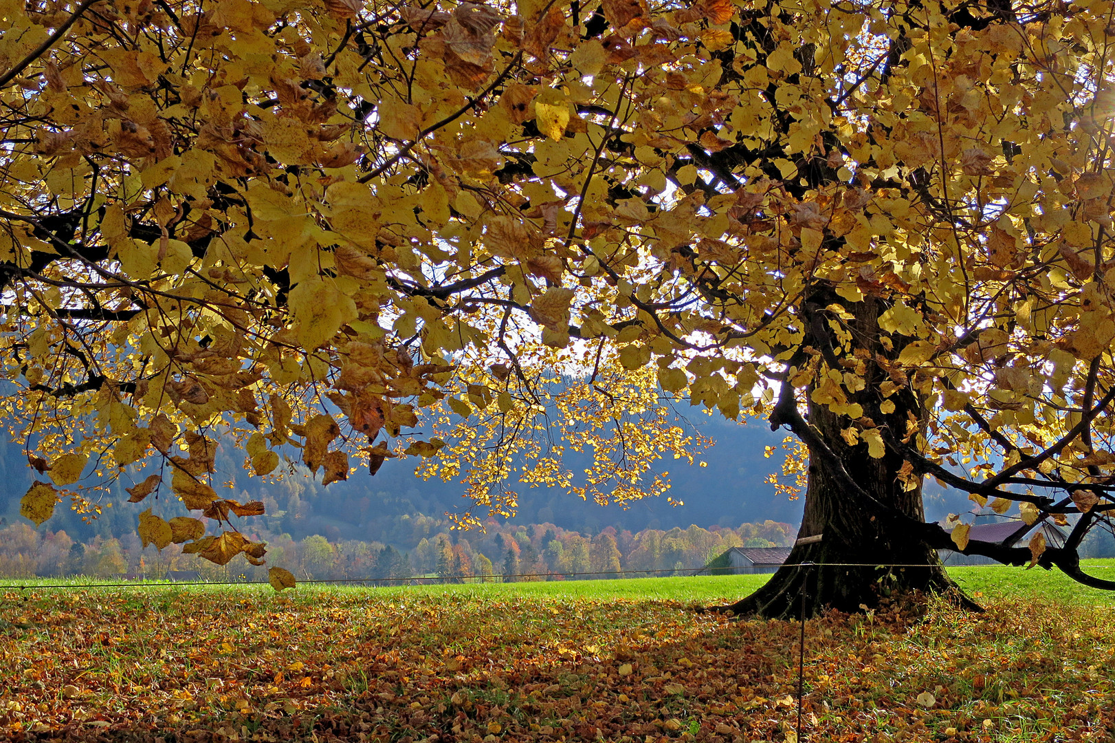 Unter-Durchblick