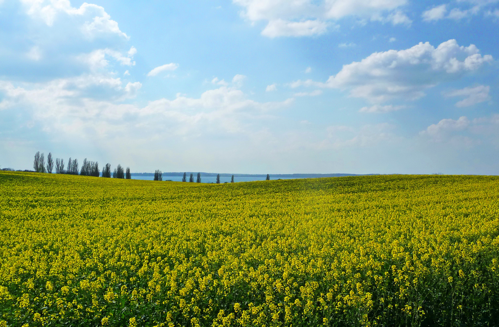 Unter einem weiten Himmel