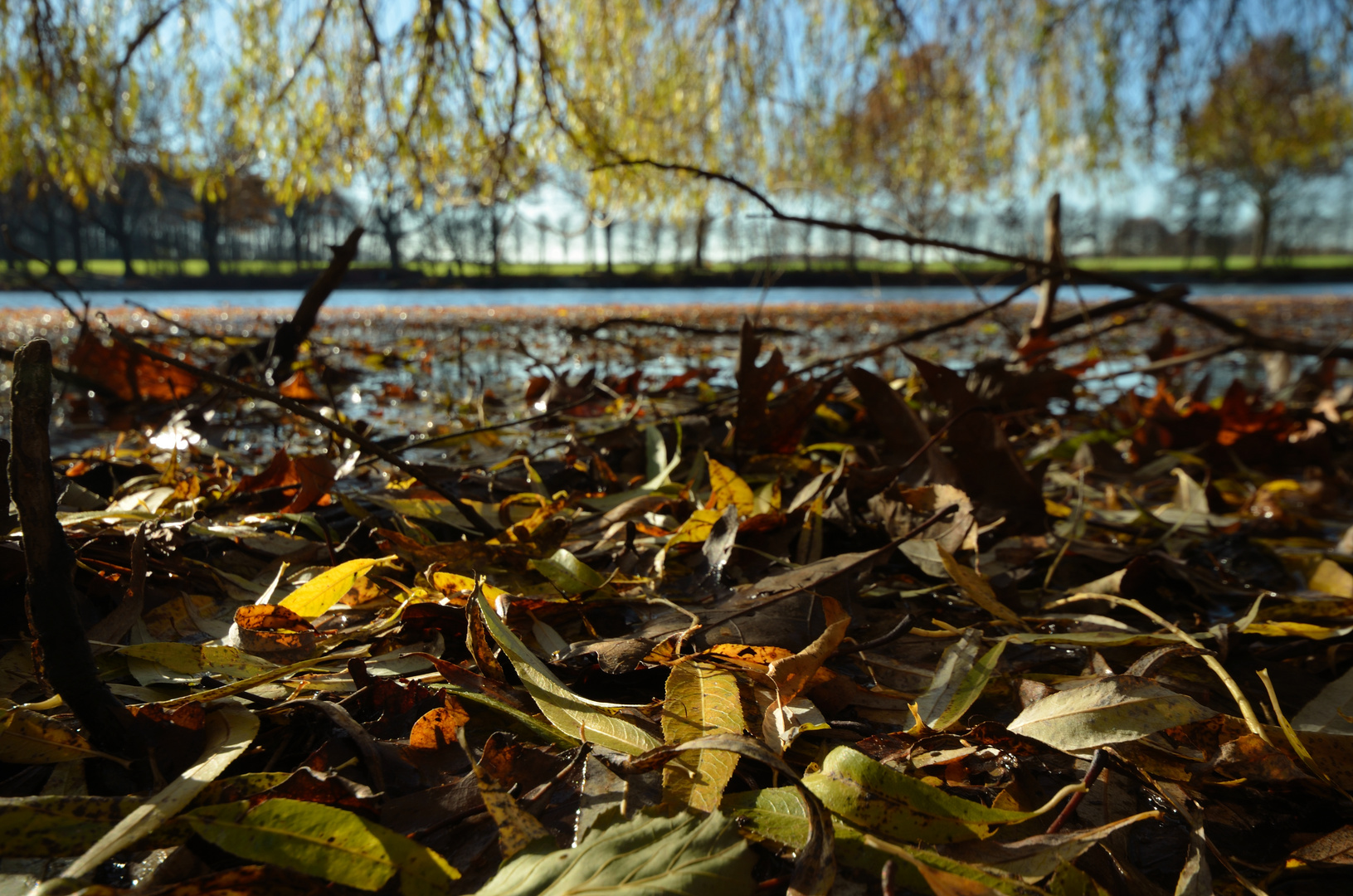 unter einer Trauerweider am Teich