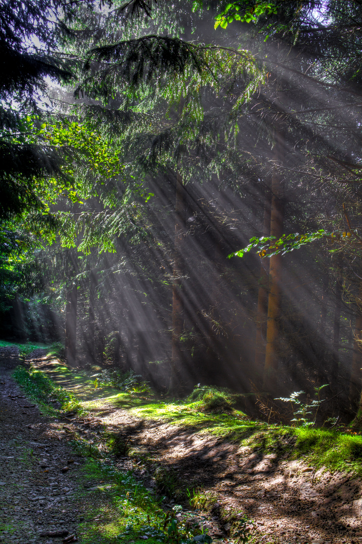 Unter Einfluss der Sonne