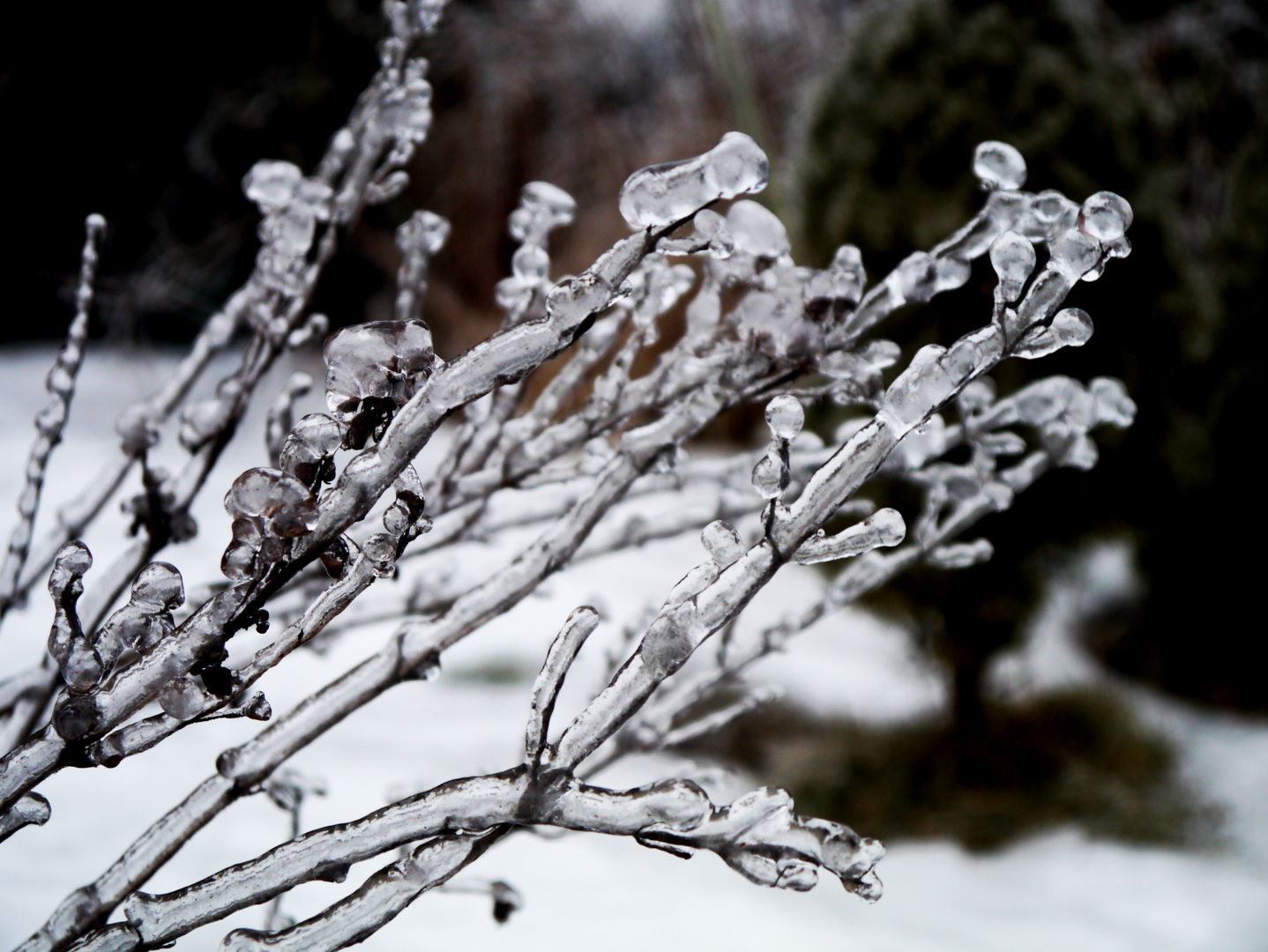 unter Eisdecke