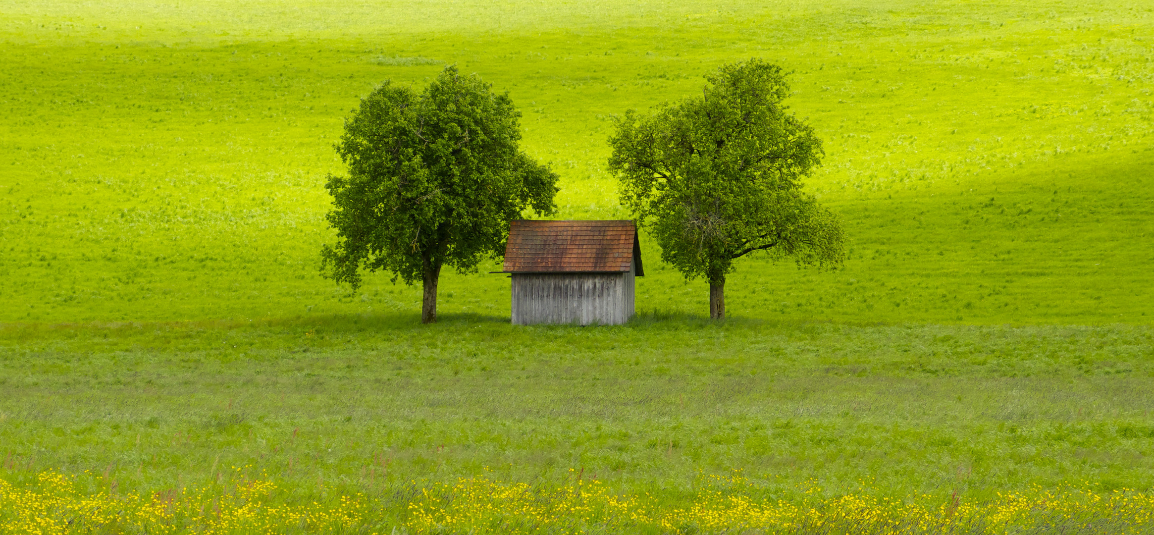 Unter Freunden...