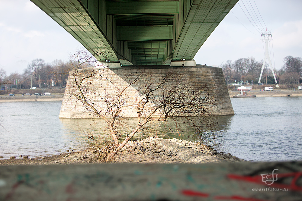 Unter Kölner Brücken