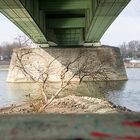 Unter Kölner Brücken
