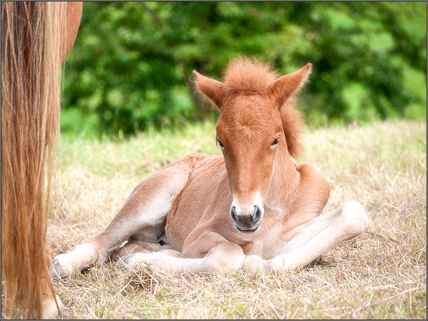 unter Mamas Obhut