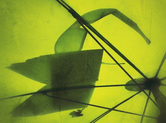 Unter meinem grünen Sonnenschirm…:-))