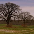 unter naturschutz