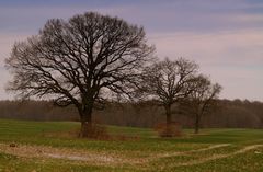 unter naturschutz