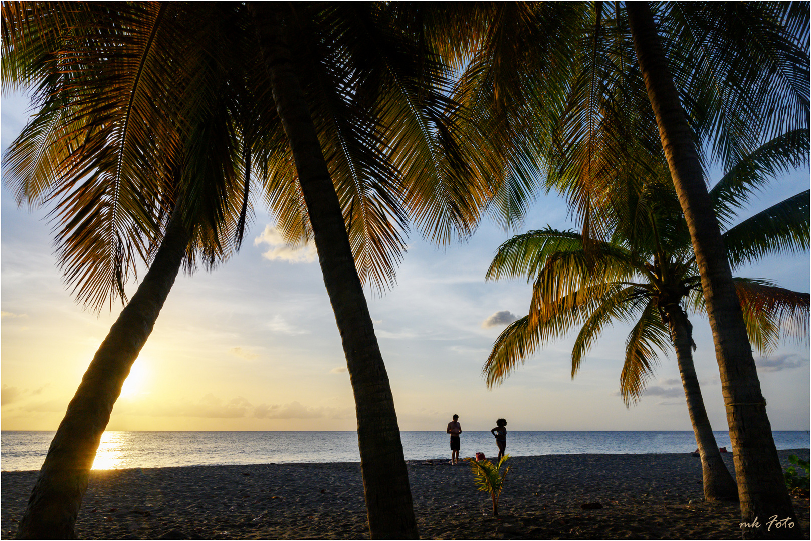 Unter Palmen auf Dominica