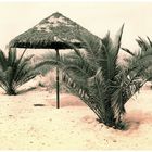 unter Palmen im Ostseesand