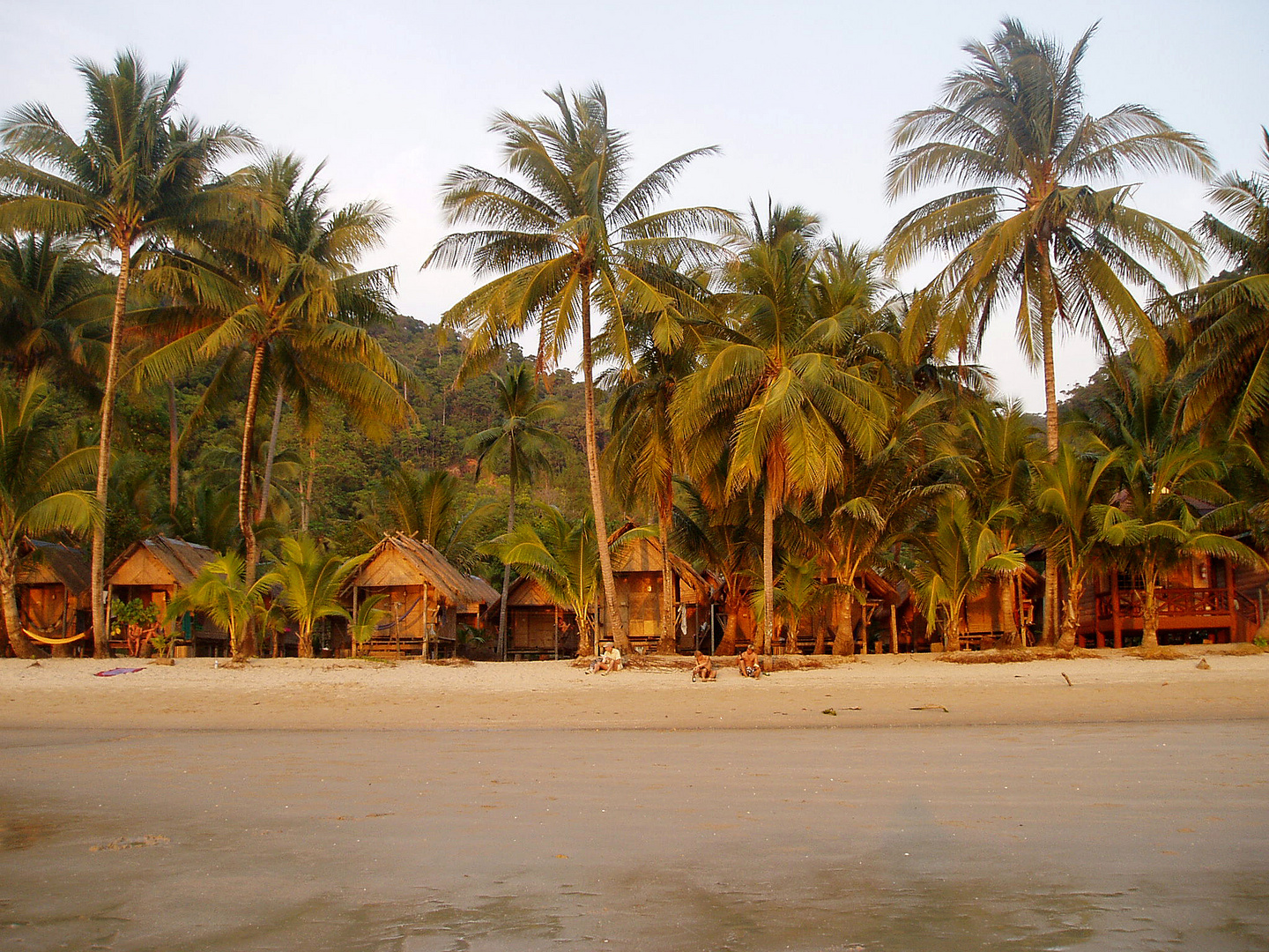 unter Palmen, Insel Koh Chang (Thailand)