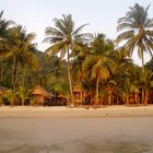 unter Palmen, Insel Koh Chang (Thailand)