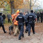 Unter Polizeischutz zur Jagd