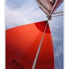 Unter Spinnaker