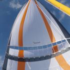 Unter Spinnaker