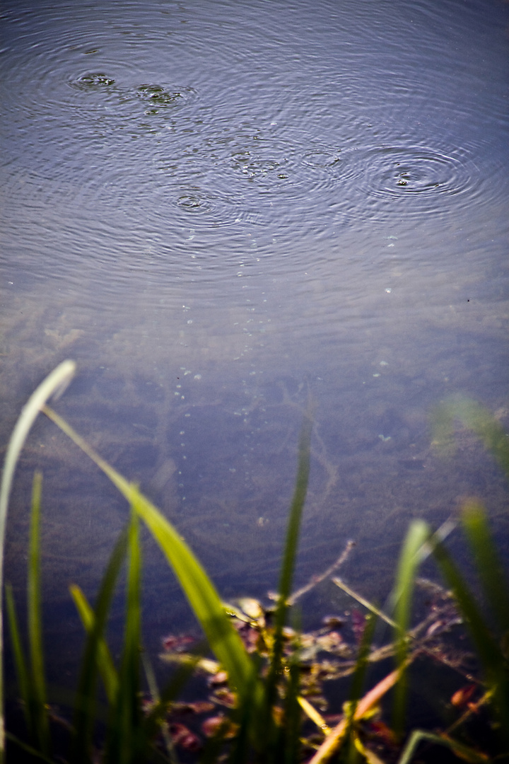 unter-überWasser