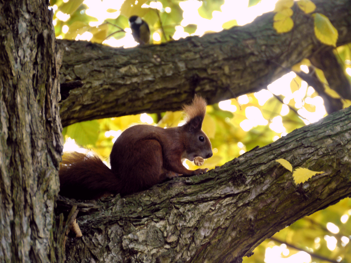 Unter (un)scharfer Beobachtung