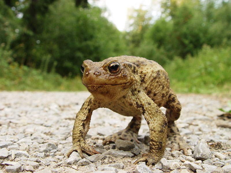 unter vier Augen