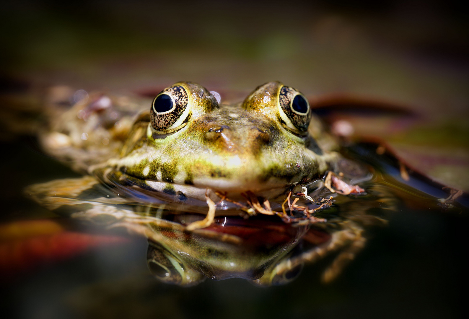 Unter vier Augen