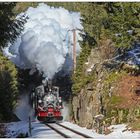 Unter Volldampf beim Loreleifelsen