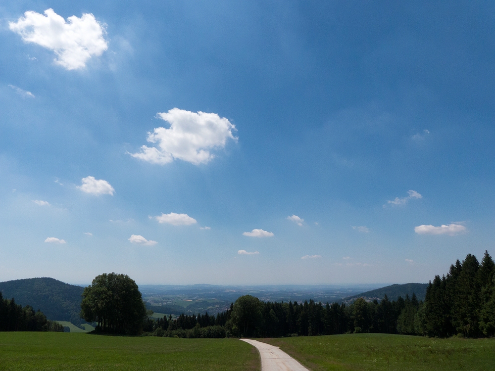 Unter weißblauem Himmel