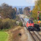 Unterallgäu Oktober 2009 (II)