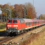 Unterallgäu Oktober 2009 (IX)