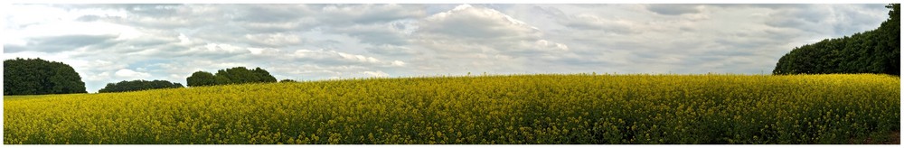 Unterbacher Raps-Panorama