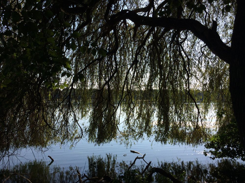 Unterbacher See