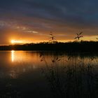 Unterbacher See Düsseldorf